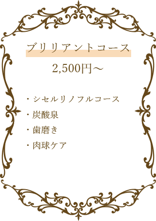 ブリリアントコース